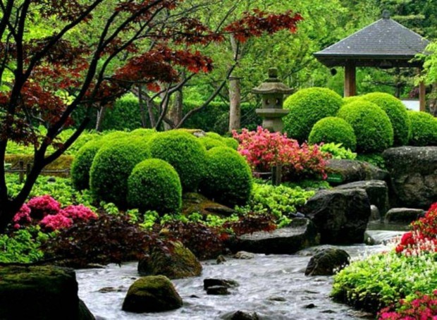 6 садовых идей:вдохните новую жизнь в ваш сад