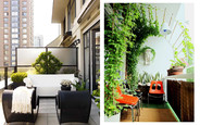 Декорируем балкон растениями: практические советы
