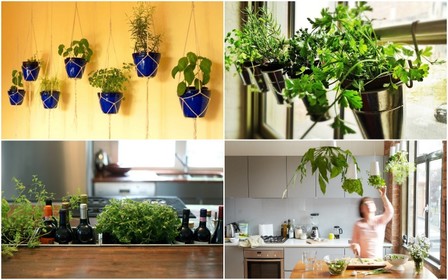 Как создать зеленый сад в домашних условиях: 13 простых идей