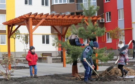 В жилом массиве «НОВА БУЧА» посажены первые хвойные деревья.