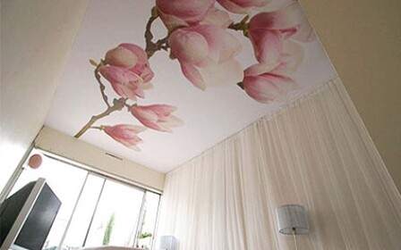 Виды потолочных покрытий. Часть 1