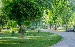 5 зелених зон Києва убезпечили від забудови