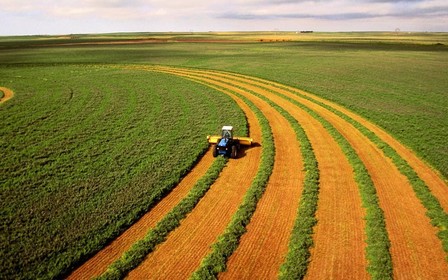 73% українських земель занесені в Госгеокадастр