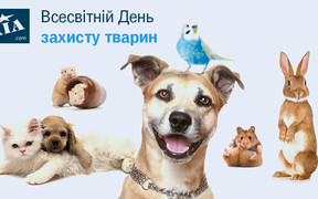 До дня захисту тварин: згадуємо, які тварини знаходяться в Червоній книзі України