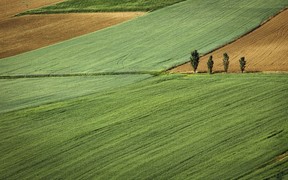 Где в Украине самая дорогая земля