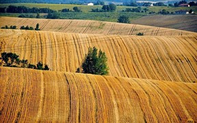 Держгеокадастр не відкриватиме дані про землю