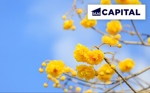 График работы отделов продаж компании BudCapital на День Независимости Украины