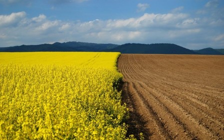 Кабмін продовжив проект по електронним земельним торгам