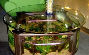 Как быстро и выгодно продать аквариум