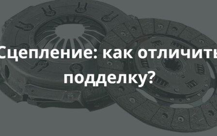 Как купить американского кокер-спаниеля в интернете