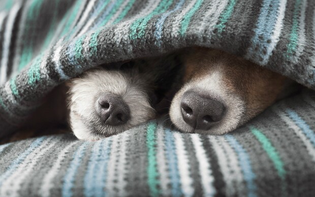 Как подготовить автомобиль к зиме: Предохраняем машину или мотоцикл от поломок и повреждений при длительной зимовке