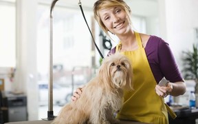 Как заработать на стрижке собак?