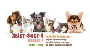 «ХВIСТ - ФЕСТ - 4» виставка-ярмарка безпритульних тварин у Вінниці