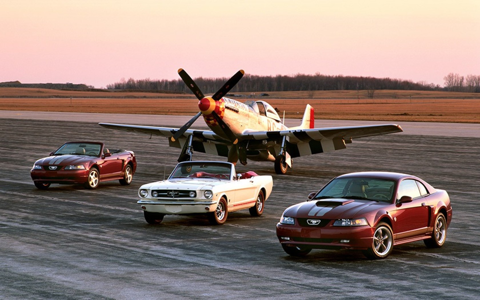 ЗОЛОТОЙ ЗАПАС