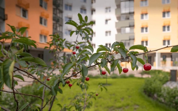 Літні ціни на квартири в ЖК «Сирецькі Сади»