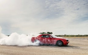 Ёлочка, лети! Dodge Hellcat прокатил новогоднюю ёлку на скорости 280 км/час