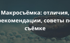 Макросъёмка: отличия, рекомендации, советы по съёмке