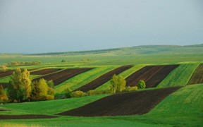 На аукціонах значно зросла ціна оренди землі