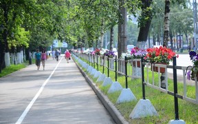 Новые улицы и дороги будут проектировать с зелеными насаждениями