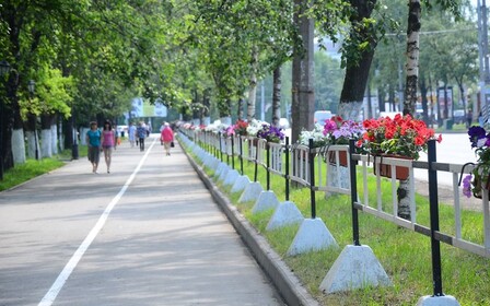 Новые улицы и дороги будут проектировать с зелеными насаждениями