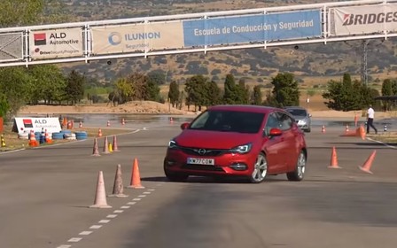 Opel Astra пошел на лося. Как справился? ВИДЕО