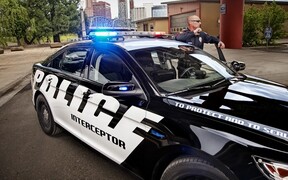 «Под мухой»: водитель, убегавший от полиции, взял в заложники лягушку