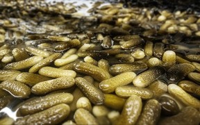 Розсіл з огірків рятує не лише від похмілля, а й від ожеледиці