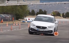 Seat Leon и Peugeot e-208 пошли на лося. Кто кого? ВИДЕО