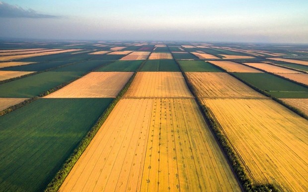 Стали відомі всі деталі земельної реформи