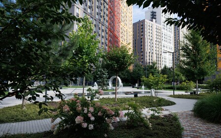 Svitlo Park: Місто твоїх подій стає більшим