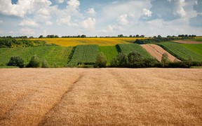 Теперь украинцы могут обменивать земельные участки