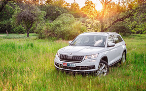 Тест-драйв Skoda Kodiaq: Останетесь довольны