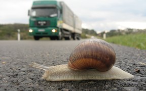 Улитки успели скрыться: Странное ДТП в Германии.