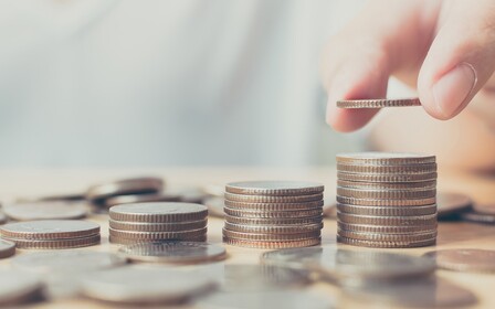 В 2020 заработает орган контроля за субсидиями и соцвыплатами