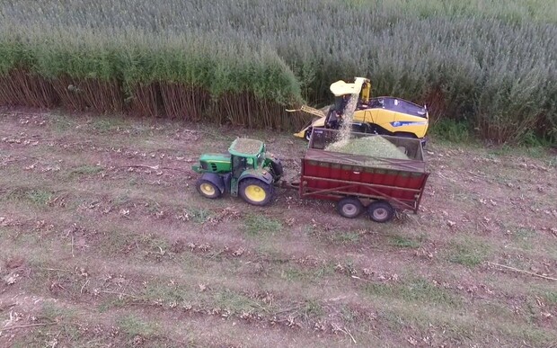 В Госэнергоэффективности рассказали, как сэкономить 2/3 потребления газа