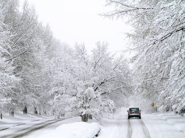 В Киеве ограничили движение из-за снегопада (обновлено)