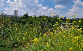 У Києві вводять нові обмеження будівництва