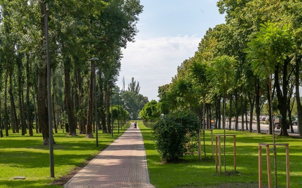 В Україні змінять норми проектування парків