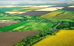 В Україні півмільйона га с/г земель пройшли інвентаризацію