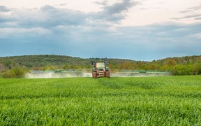 У законопроєкт про ринок землі хочуть внести зміни