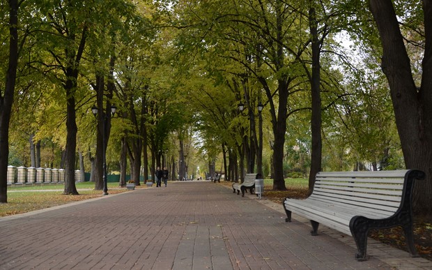 Вместо лесов возле Киева создадут буферные парки (перечень)
