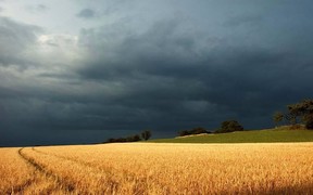 ВНИМАНИЕ: Объявлено штормовое предупреждение!