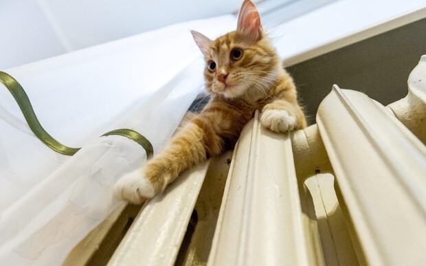 Во Львове завершился отопительный сезон