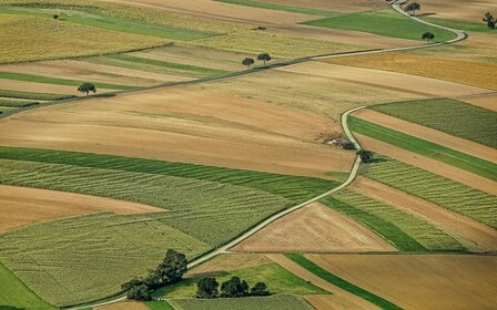 Во Львовской области участникам боевых действий выделили 7 339 земельных участков