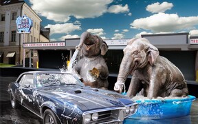 Все на мойку! Уход за автомобилем зимой