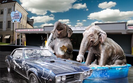 Все на мойку! Уход за автомобилем зимой