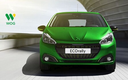 WOG станет партнером уже третьего ежегодного «ECO rally PEUGEOT Автопассаж»