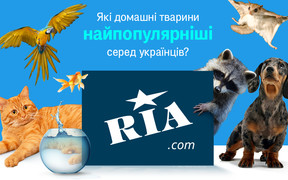 Які домашні тварини найпопулярніші серед українців в 2017 році?