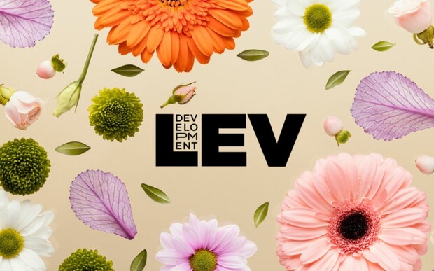 Знижки у LEV Development