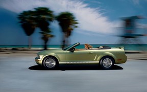 Ford Mustang Mk5 Ford Mustang Mk5